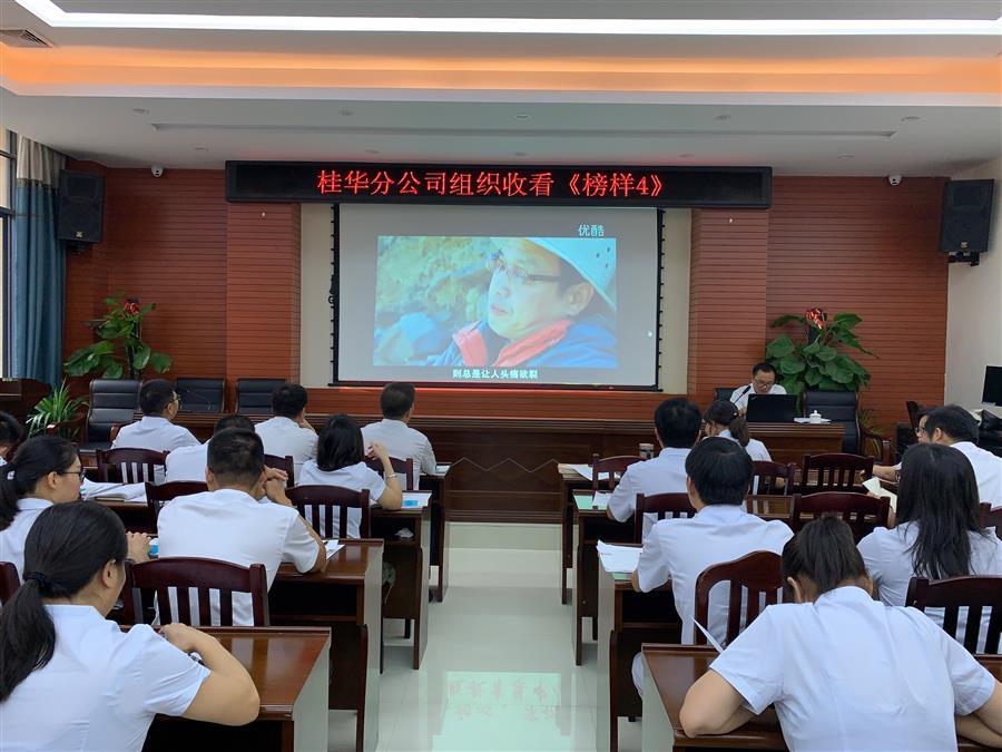 2024新澳门全年免费原料网