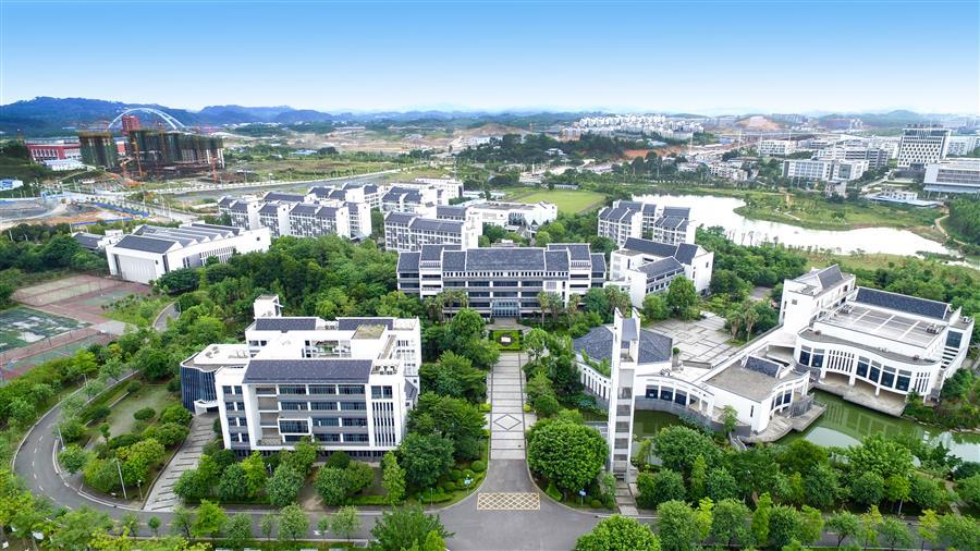 2024新澳门全年免费原料网
