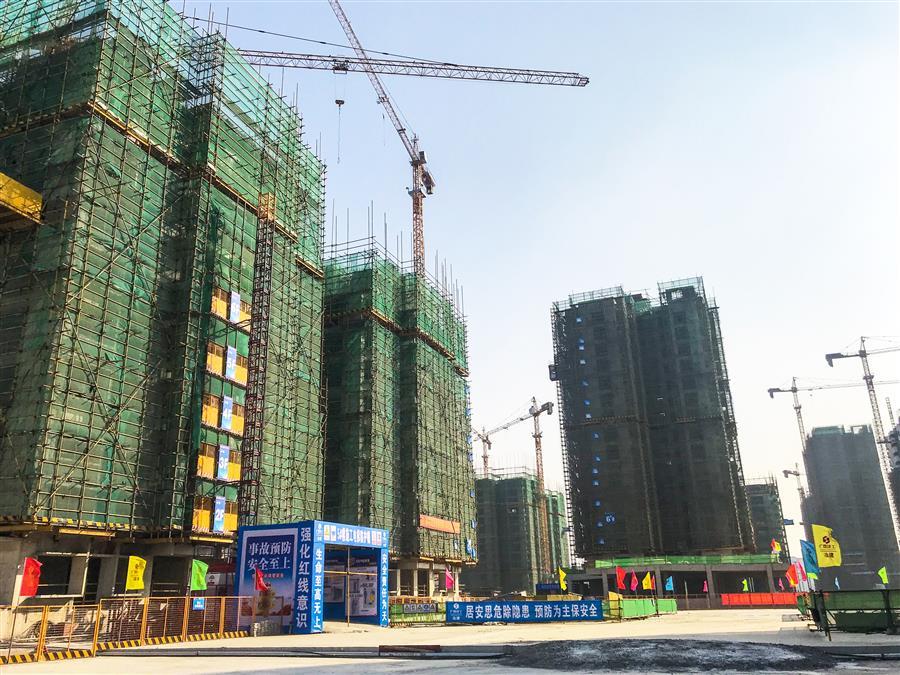2024新澳门全年免费原料网