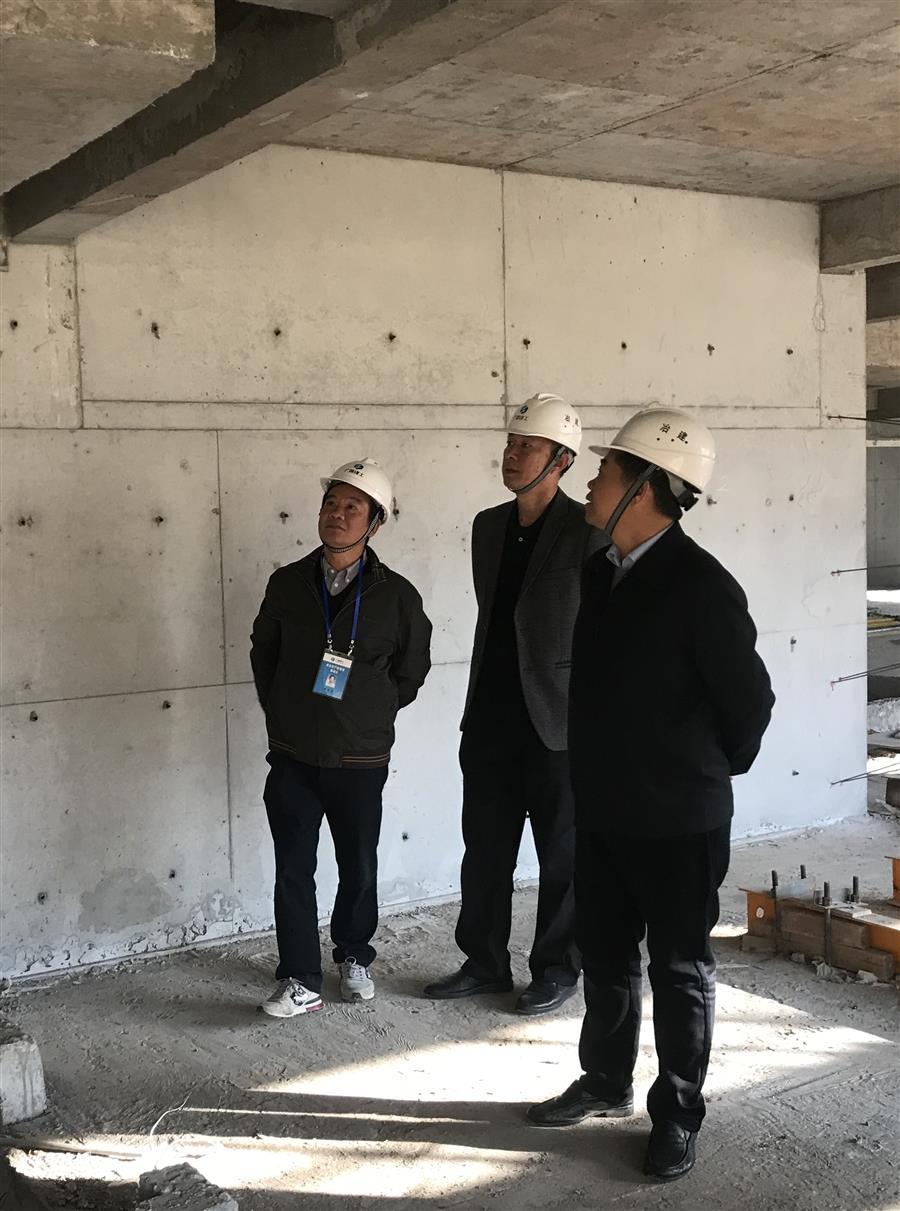 2024新澳门全年免费原料网
