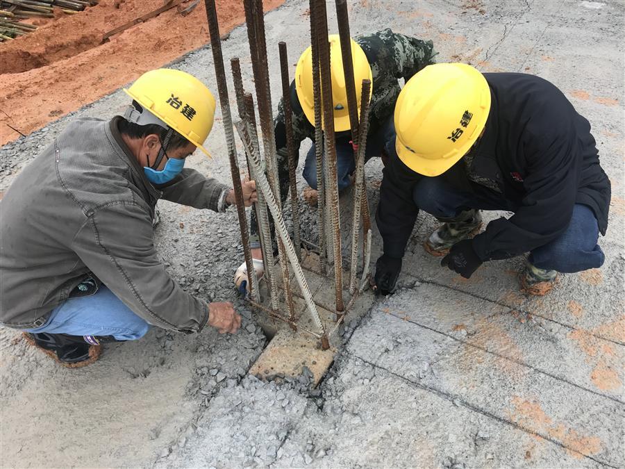 2024新澳门全年免费原料网