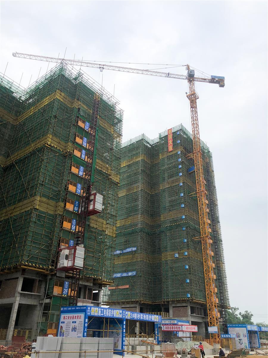 2024新澳门全年免费原料网