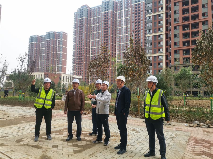 2024新澳门全年免费原料网