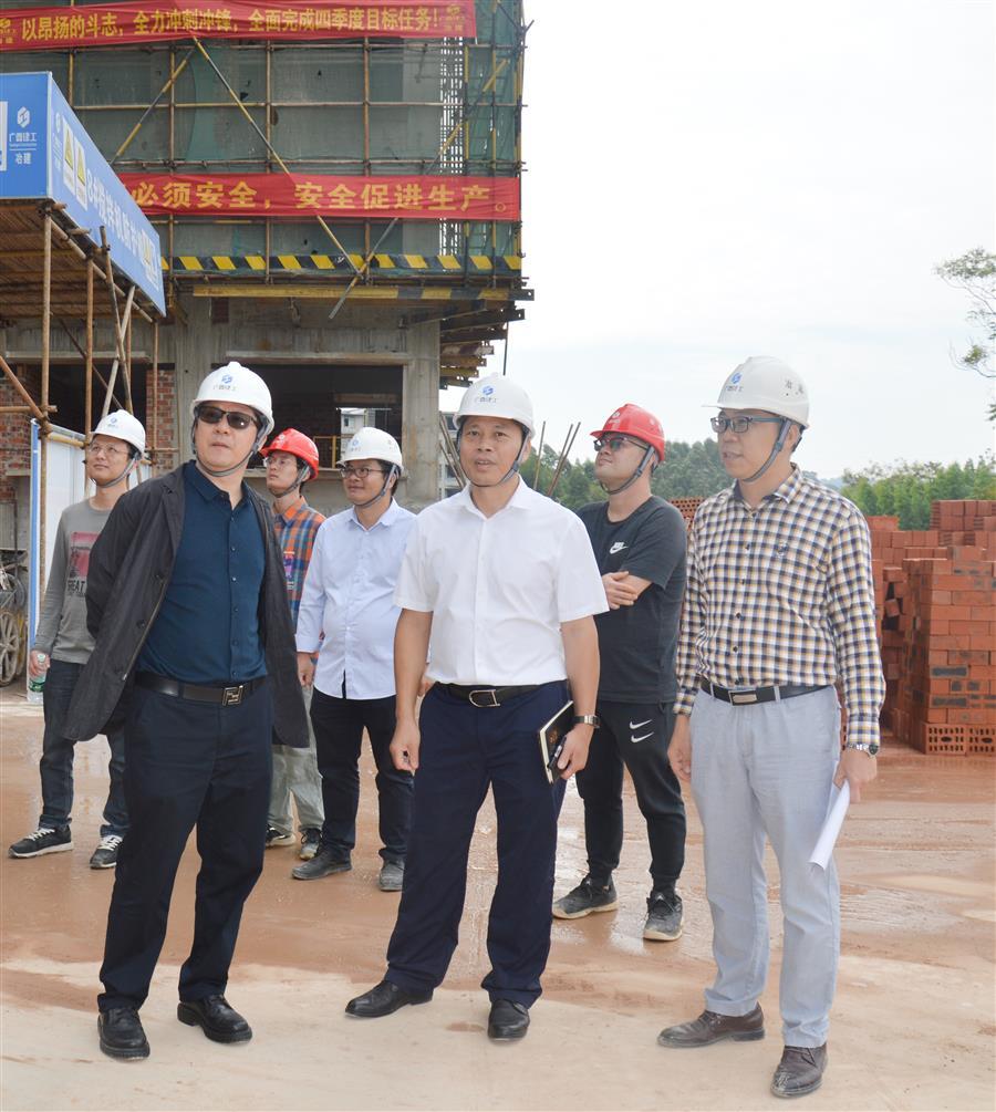2024新澳门全年免费原料网
