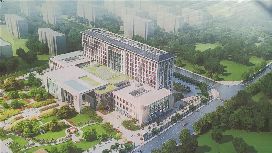 2024新澳门全年免费原料网