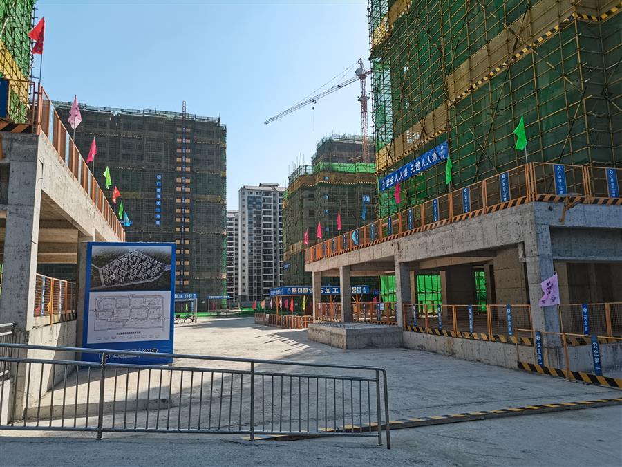 2024新澳门全年免费原料网