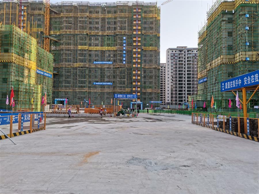 2024新澳门全年免费原料网