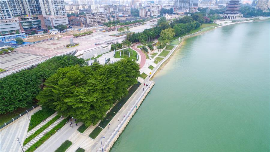 2024新澳门全年免费原料网