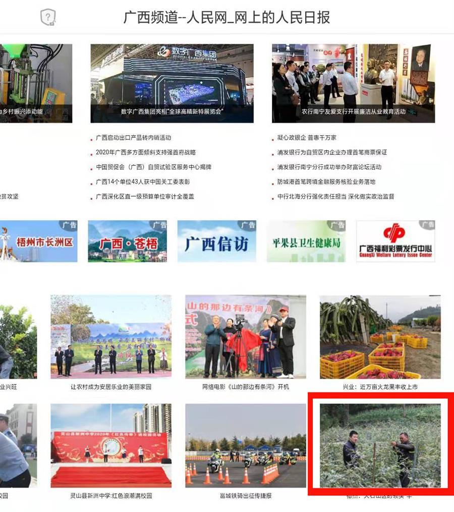2024新澳门全年免费原料网