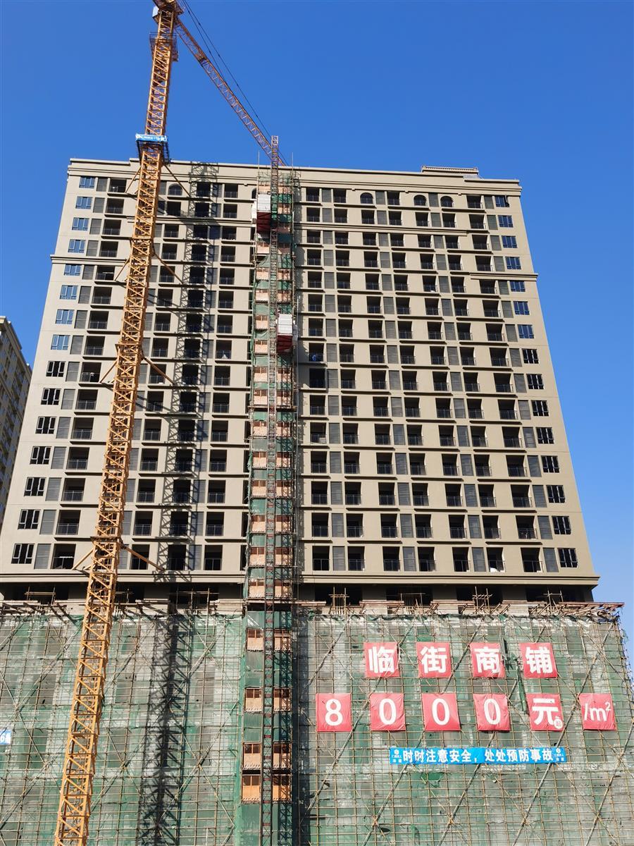 2024新澳门全年免费原料网