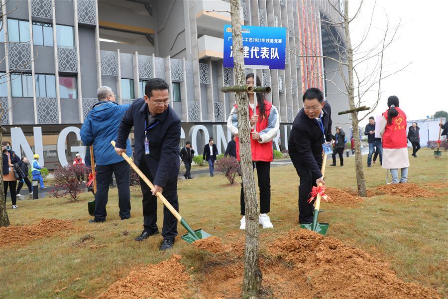 2024新澳门全年免费原料网