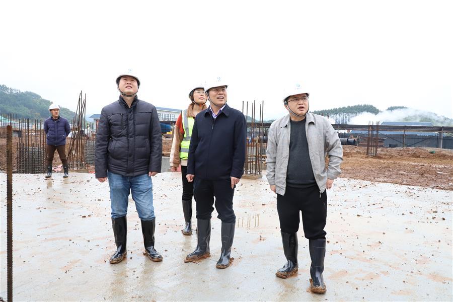 2024新澳门全年免费原料网