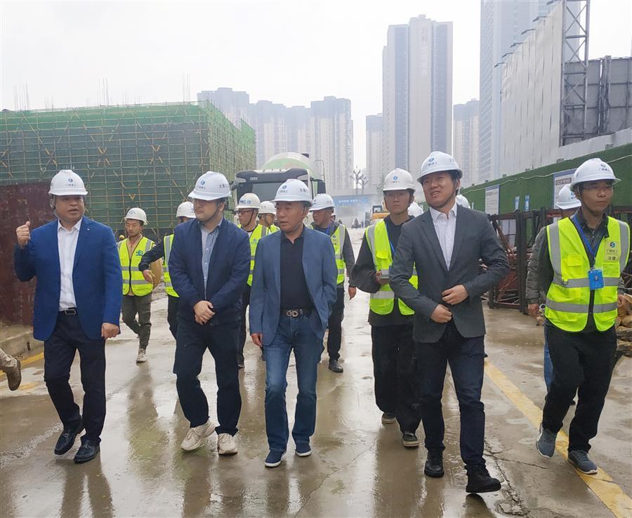 2024新澳门全年免费原料网