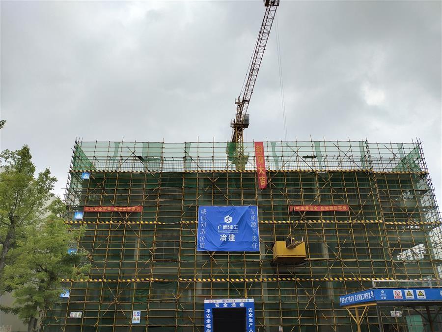 2024新澳门全年免费原料网