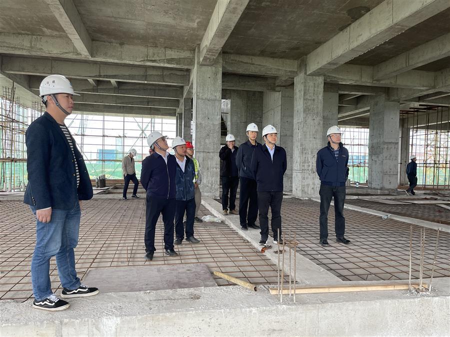 2024新澳门全年免费原料网