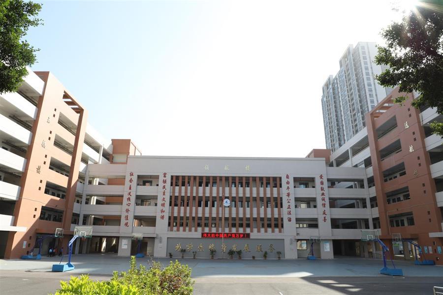 2024新澳门全年免费原料网