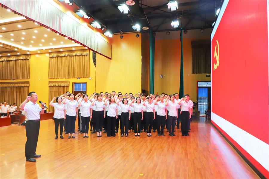 2024新澳门全年免费原料网