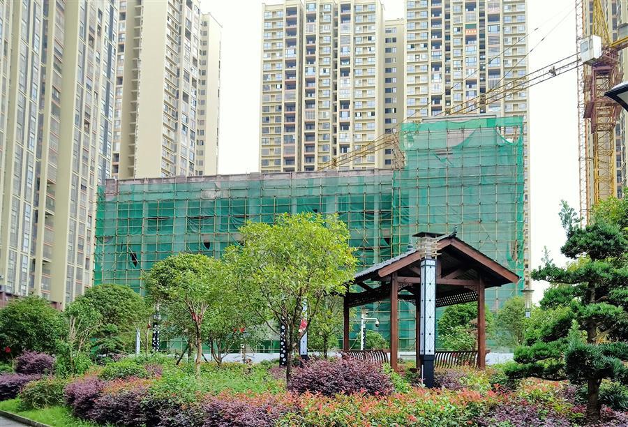 2024新澳门全年免费原料网