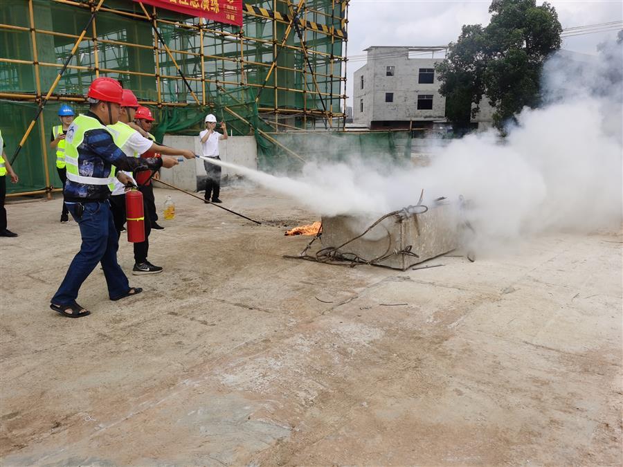 2024新澳门全年免费原料网