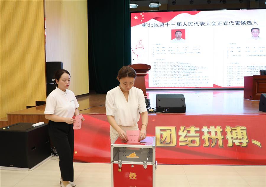 2024新澳门全年免费原料网
