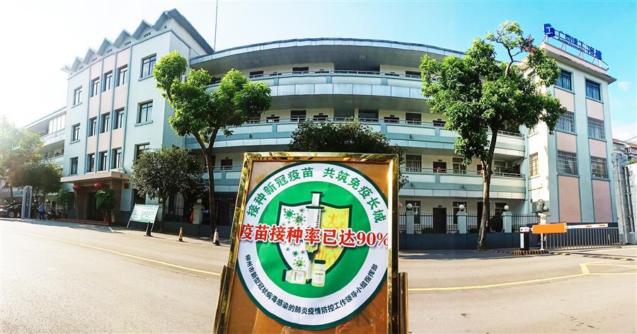 2024新澳门全年免费原料网
