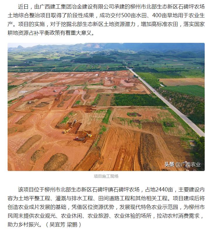2024新澳门全年免费原料网