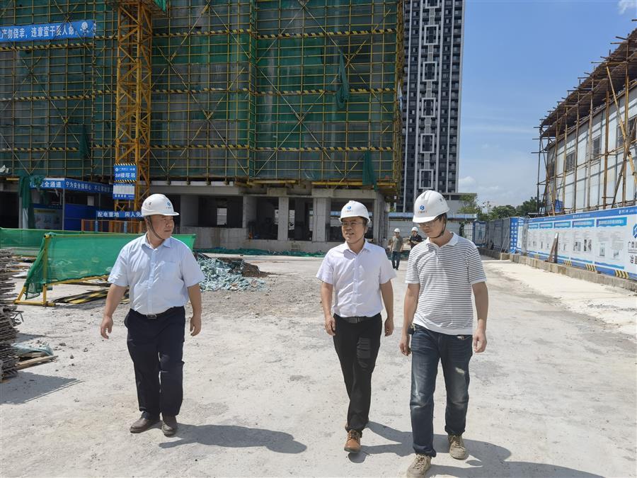 2024新澳门全年免费原料网