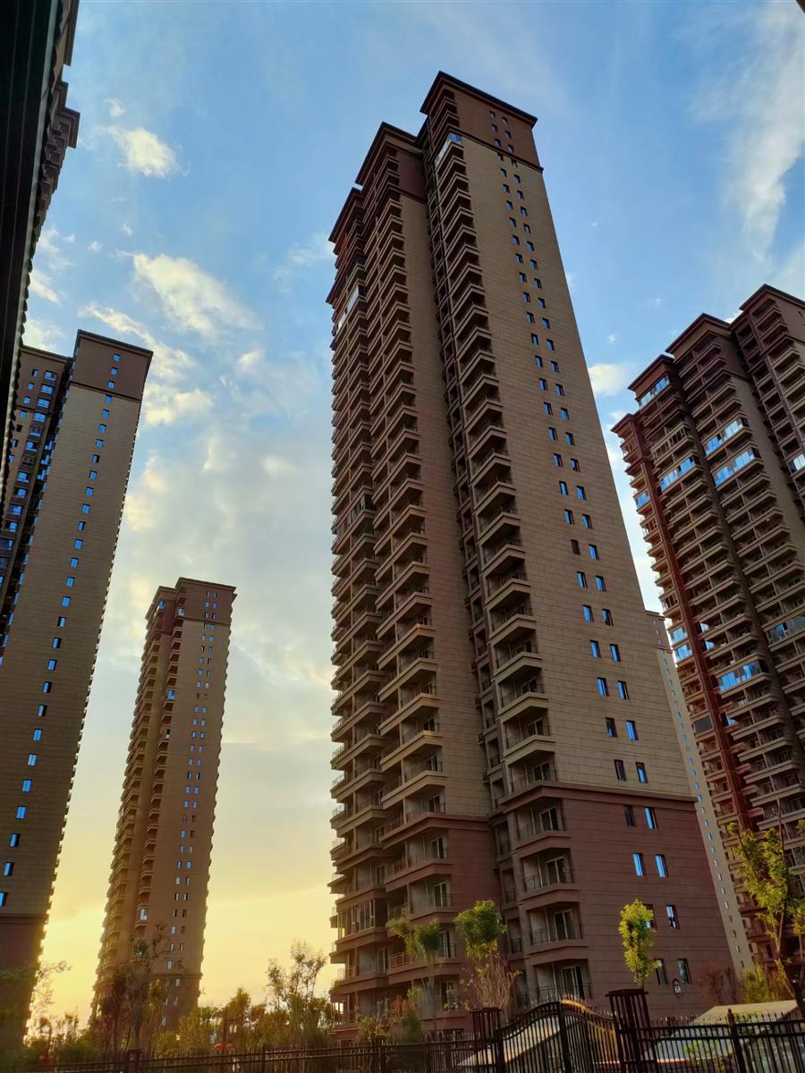 2024新澳门全年免费原料网