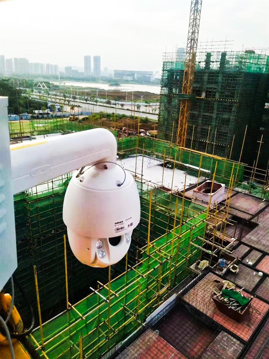 2024新澳门全年免费原料网