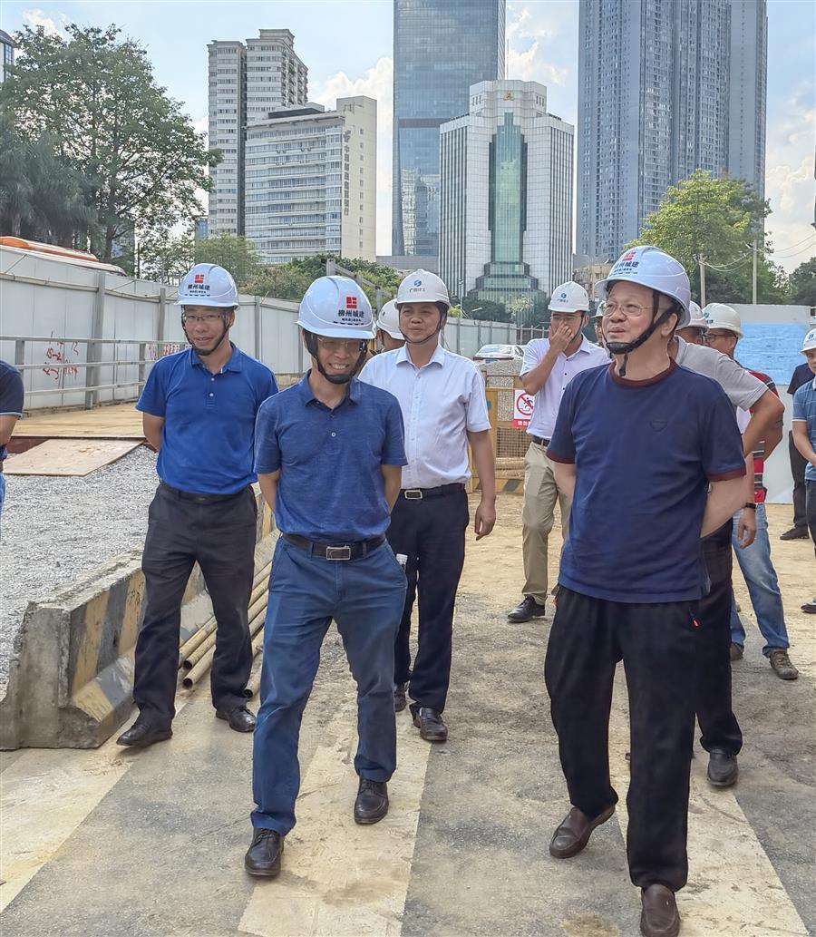 2024新澳门全年免费原料网