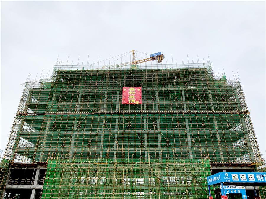 2024新澳门全年免费原料网