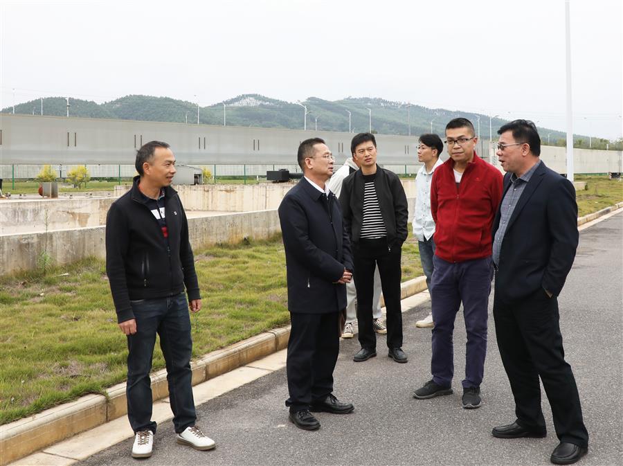 2024新澳门全年免费原料网