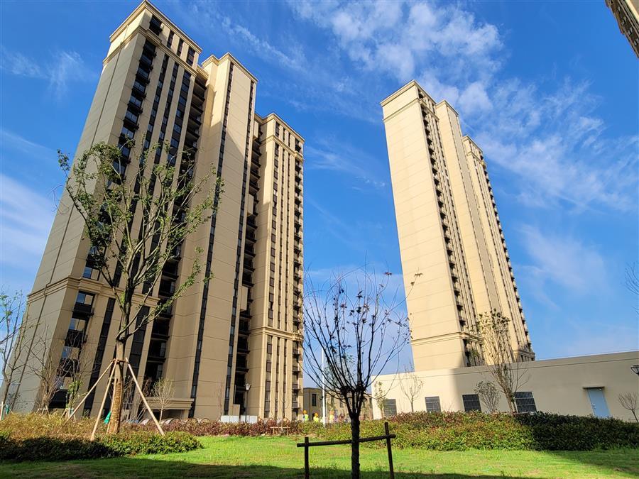 2024新澳门全年免费原料网