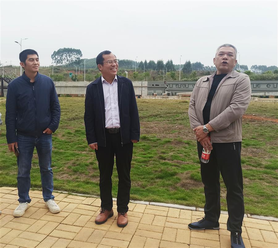 2024新澳门全年免费原料网