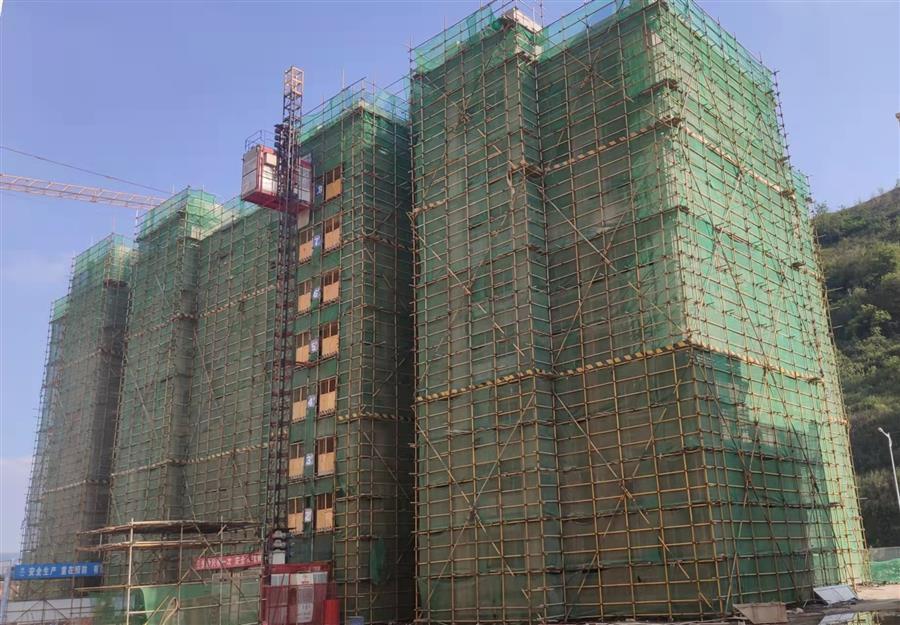 2024新澳门全年免费原料网