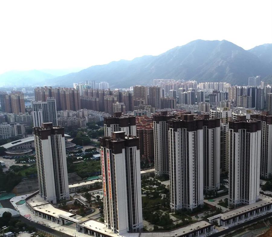 2024新澳门全年免费原料网
