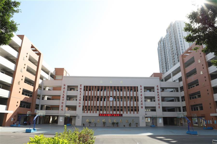2024新澳门全年免费原料网