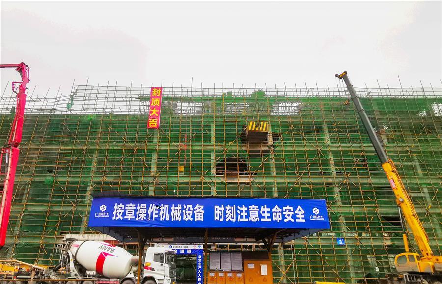 2024新澳门全年免费原料网