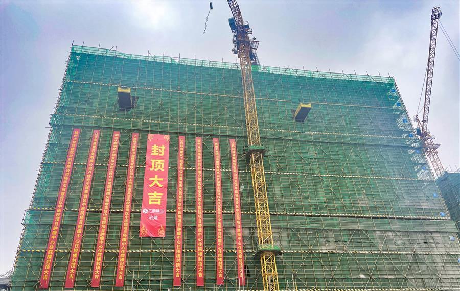 2024新澳门全年免费原料网