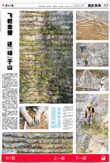 2024新澳门全年免费原料网