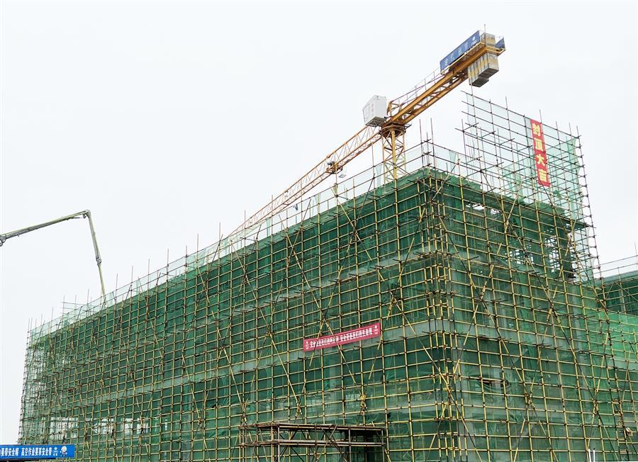 2024新澳门全年免费原料网