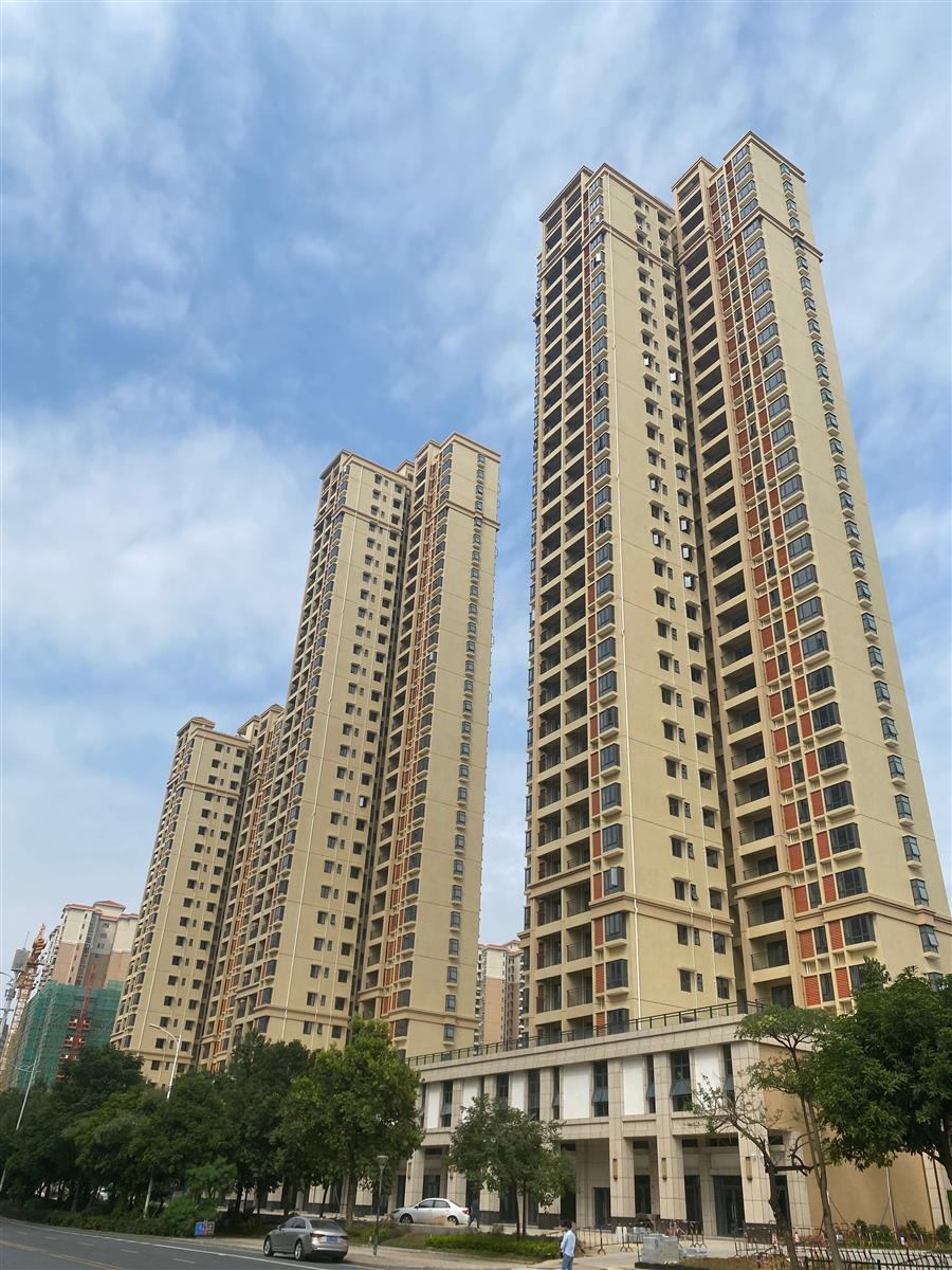 2024新澳门全年免费原料网