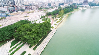 2024新澳门全年免费原料网