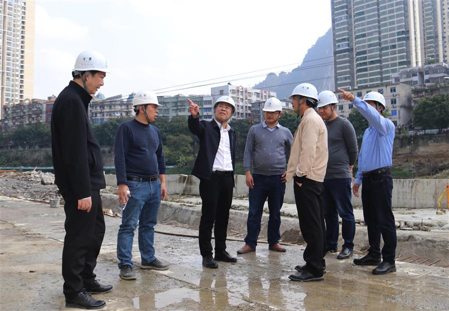 2024新澳门全年免费原料网