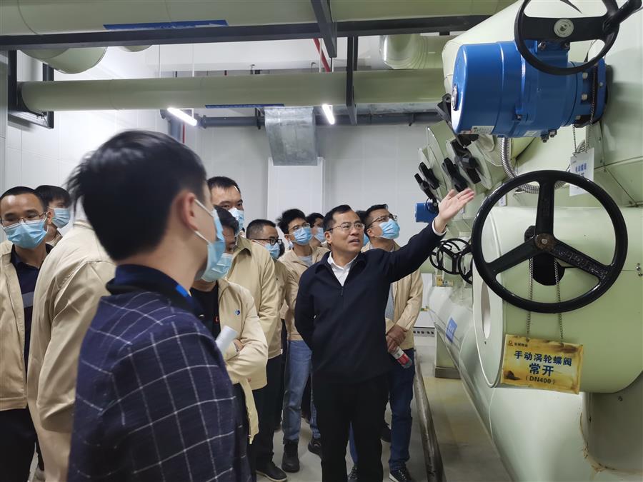 2024新澳门全年免费原料网