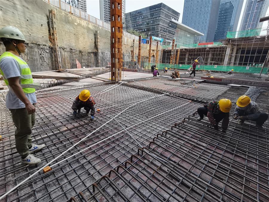 2024新澳门全年免费原料网