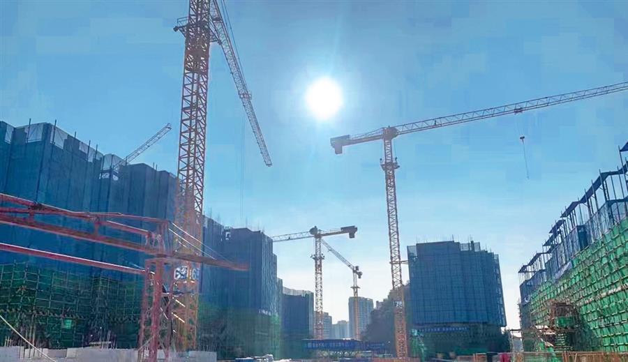 2024新澳门全年免费原料网