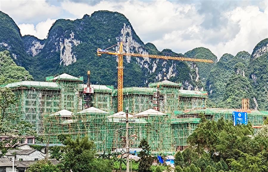 2024新澳门全年免费原料网