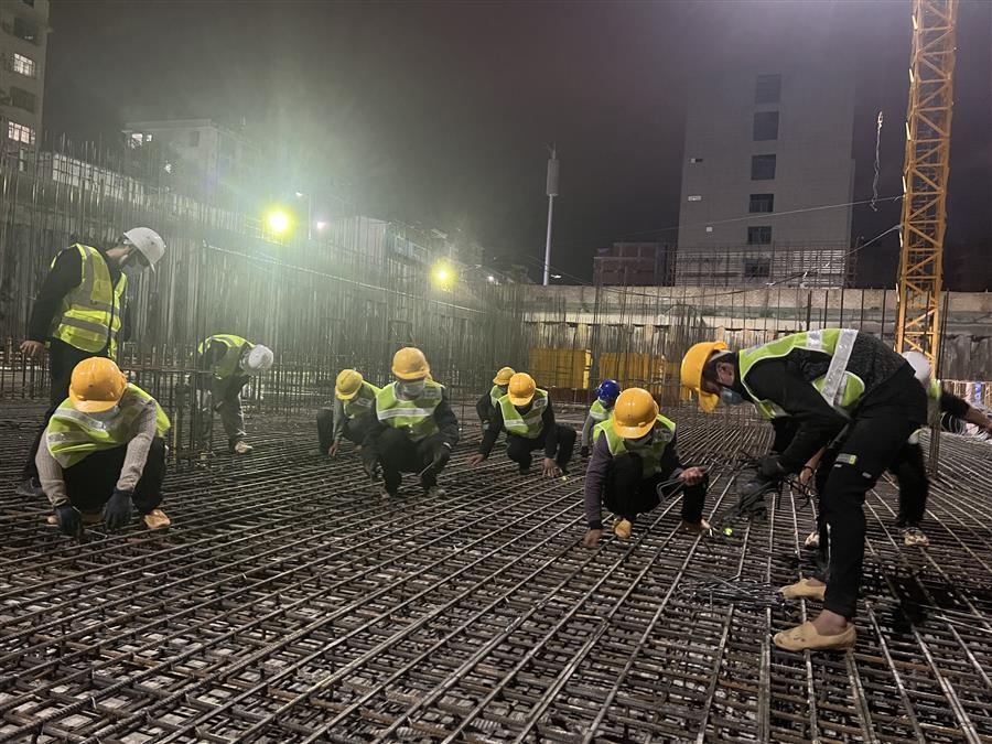 2024新澳门全年免费原料网