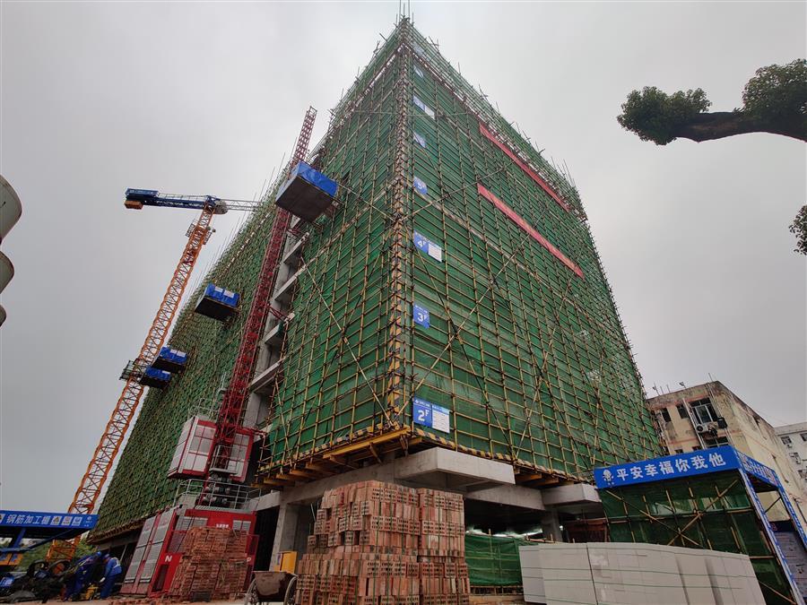 2024新澳门全年免费原料网